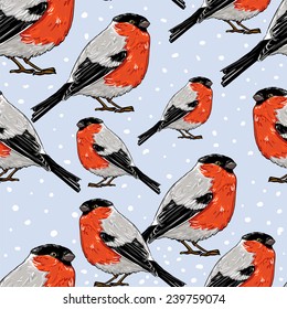 bullfinch, vector illustration bird, seamless