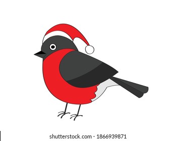 Bullfinch winter red feather bird Santa hat.