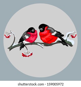 Bullfinches
