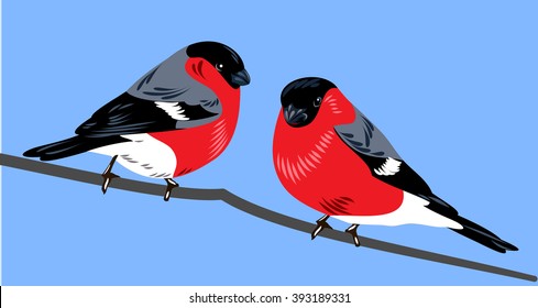 bullfinches on branch