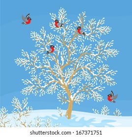 bullfinches on a snow-covered tree