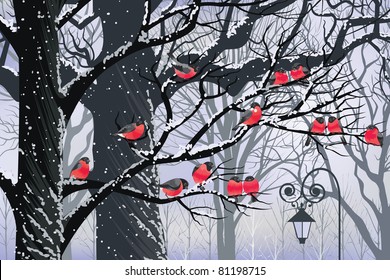 Bullfinches on trees in winter city