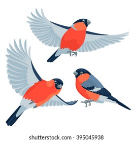 Bullfinches on white background
