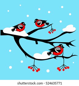 bullfinches and rowan