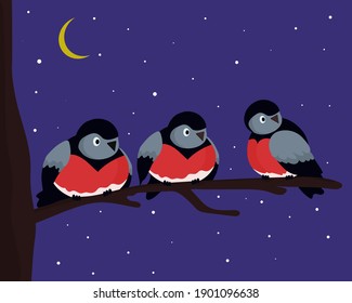 Bullfinches. Three birds sitting next to each other on a tree branch. Bright night, moon in the sky, it is snowing. Vector flat illustration.