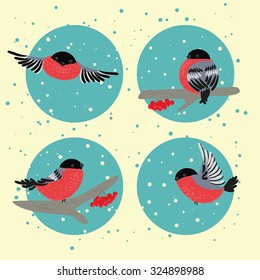 Bullfinches in the winter set.