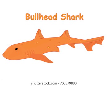 Bullhead shark fish vector cartoon illustration, t shirt design for kids with aquatic animal theme isolated on white background wallpaper