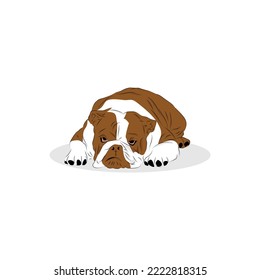 Bullies dog illustration for any purpose