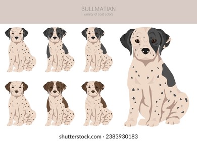 Bullmatian clipart. Bulldog Dalmatian mix. Different coat colors set.  Vector illustration