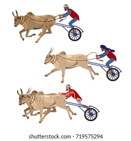 Bullock cart race set. Vector illustration isolated on the white background