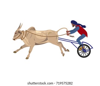 Bullock cart race. Vector illustration isolated on the white background