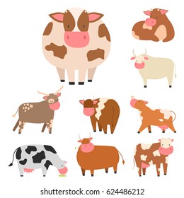 Bulls cows farm animal character vector illustration cattle mammal nature wild beef agriculture.