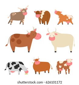 Bulls cows farm animal character vector illustration cattle mammal nature wild beef agriculture.