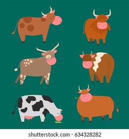 Bulls cows farm animal character vector illustration cattle mammal nature wild beef agriculture.