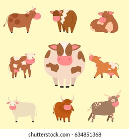 Bulls cows farm animal character vector illustration cattle mammal nature wild beef agriculture.