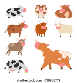 Bulls cows farm animal character vector illustration cattle mammal nature wild beef agriculture.