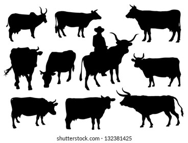 Bulls and cows silhouettes