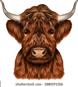 the bull's head animal vector illustration