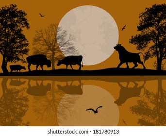 Bulls silhouette on beautiful landscape near water, vector illustration