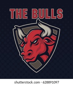 The Bulls Sport Logo