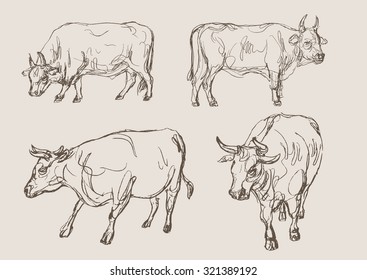 59,809 Bull drawing Images, Stock Photos & Vectors | Shutterstock