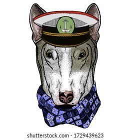 Bullterrier, dog. Portrait of cartoon animal.