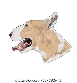 Bullterrier vector dog isolated on white background.