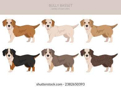 Bully Basset clipart. Bulldog Basset Hound mix. Different coat colors set.  Vector illustration
