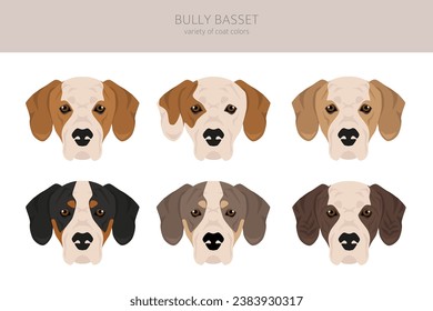 Bully Basset clipart. Bulldog Basset Hound mix. Different coat colors set.  Vector illustration