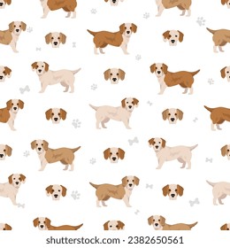 Bully Basset seamless pattern. Bulldog Basset Hound mix. Different coat colors set.  Vector illustration svg