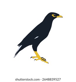 Bully bird illustration vector based on white background vol 01