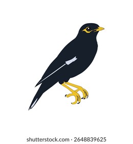 Bully bird illustration vector based on white background vol 02