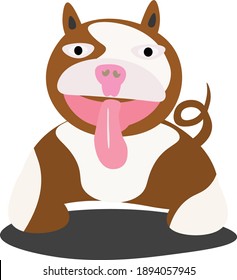Bully dog cute vector on white background