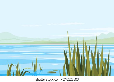 Bulrush plants in river, fishing place, nature landscape