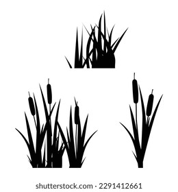 La silueta negra de la planta de macizo de arcilla o de arcilla aislada sobre fondo blanco  Vector