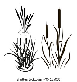 Cattails Stock Vectors, Images & Vector Art | Shutterstock