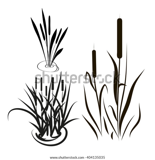 Bulrush Sedge Set Silhouette Black Picture Stock Vector (Royalty Free ...