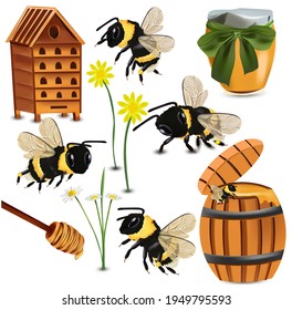 Bumble bee, beehive, honey dipper, Glass jars with Honey, Wooden Hive, Chamomile flower on white background. 3d Vector illustration. 