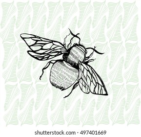 bumble bee freehand drawing