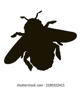 Bumble bee silhouette icon. Insect contour image. Hand drawn isolated image for prints, designs, cards. Web, mobile