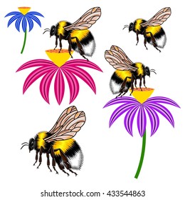 Bumblebee