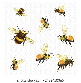 Bumblebee abstract pattern and honey bee geometric pattern