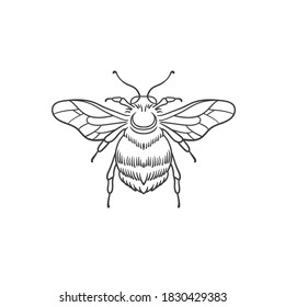 The Bumblebee. Can be used as a sketch of a tattoo.