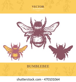 Bumblebee collection bumblebee vintage style ink bumblebee hand drawn vector 