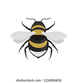 Bumblebee color vector icon. Flat design