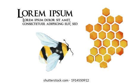 Bumblebee In Flight, Vector Color Drawing, Vector Drawing Of A Bee In Watercolor, For Flyer, Banner