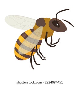 Bumblebee flying wild insect with wings paws and antennae vector flat illustration. Honeybee hairy striped animal ecology natural product beekeeping. Organic honey bee apiculture bug isolated