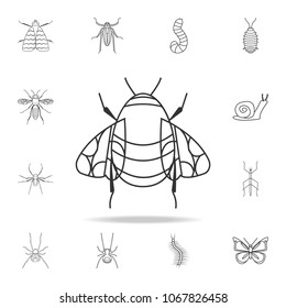 bumblebee icon. Detailed set of insects line illustrations. Premium quality graphic design icon. One of the collection icons for websites, web design, mobile app on white background