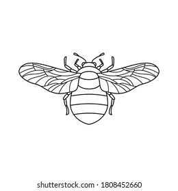 Icono de abejorro en un estilo de moda Linear Minimalista. Esbozo vectorial Emblema de Insectos con alas para crear logos de salones de belleza, manicura, masajes, spas, joyas, tatuajes y artistas hechos a mano.