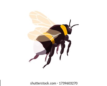 Bumblebee. Insect. Vector illustration on a white background in a flat style.